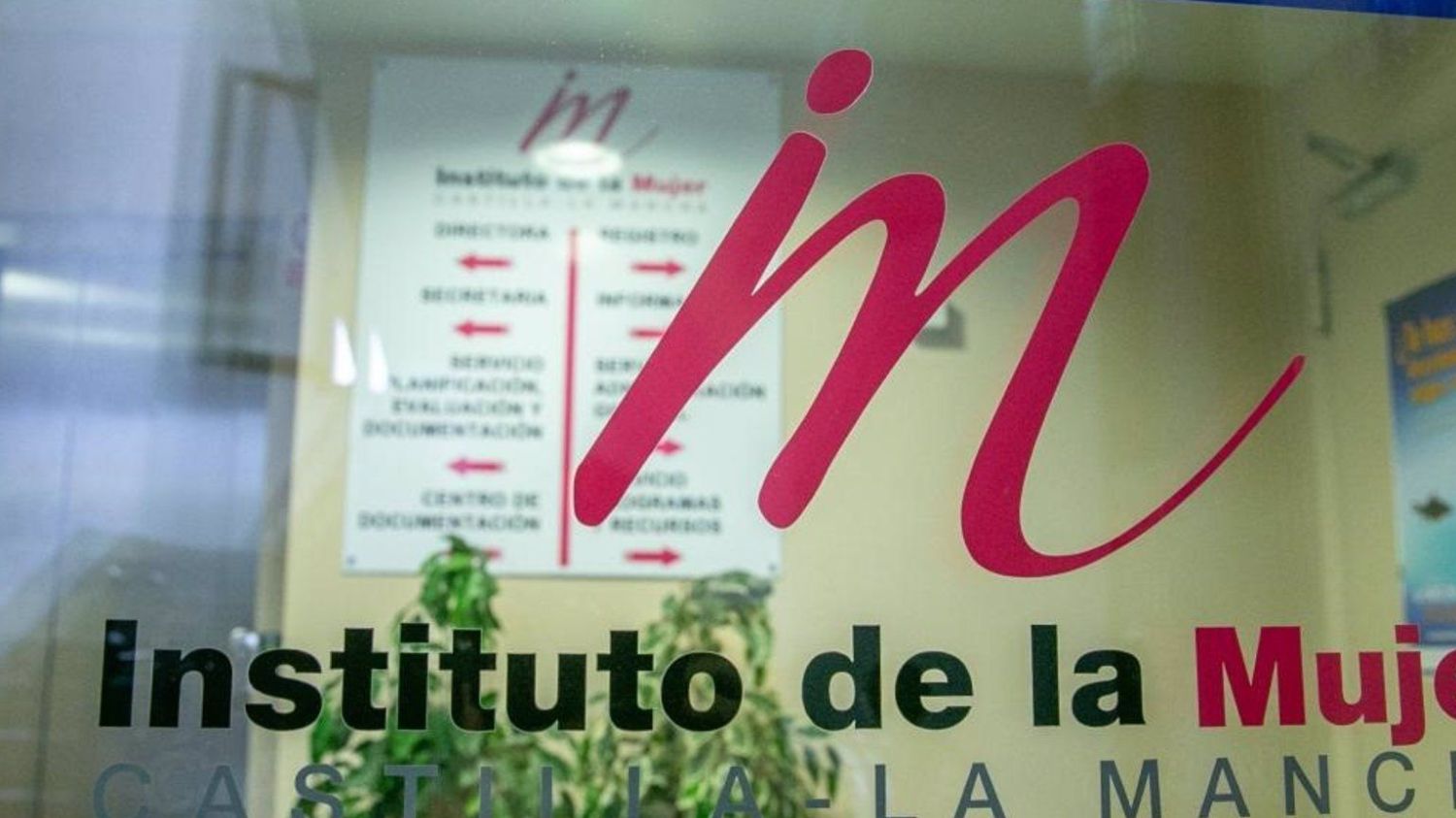 Instituto de la Mujer de Castilla-La Mancha.