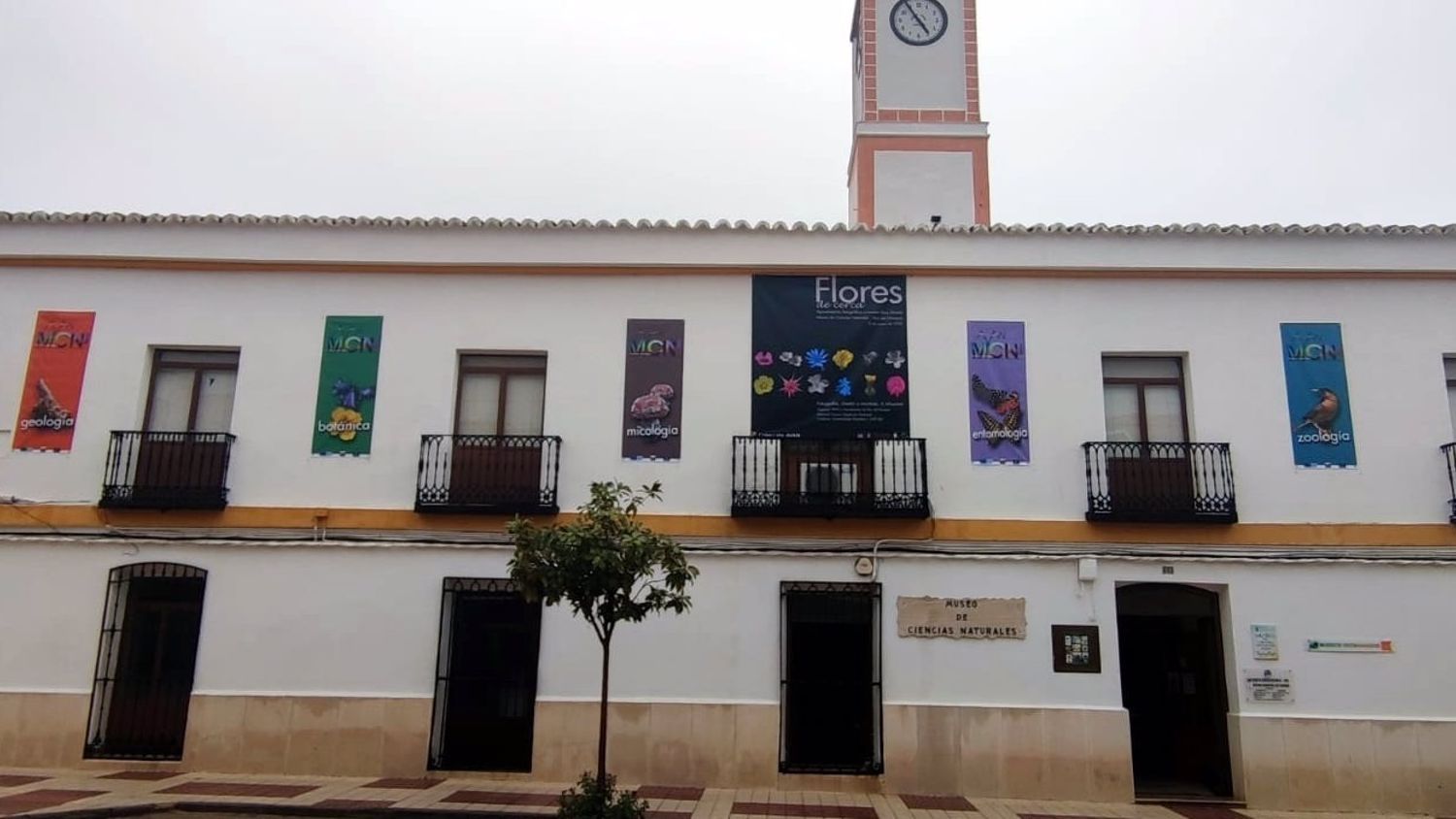 Museo de Ciencias Naturales de Viso del Marqués.