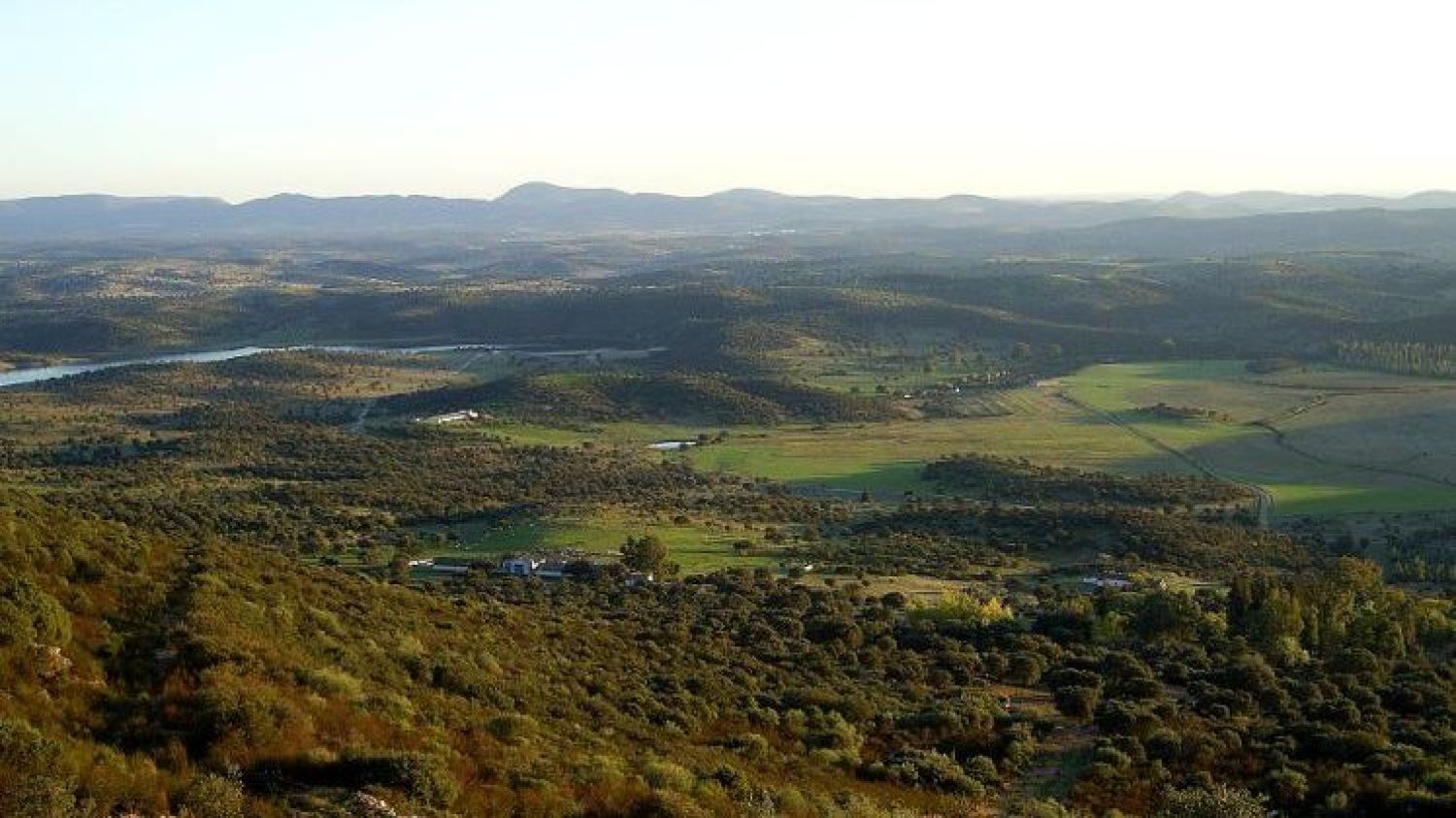 Comarca de Montesur.