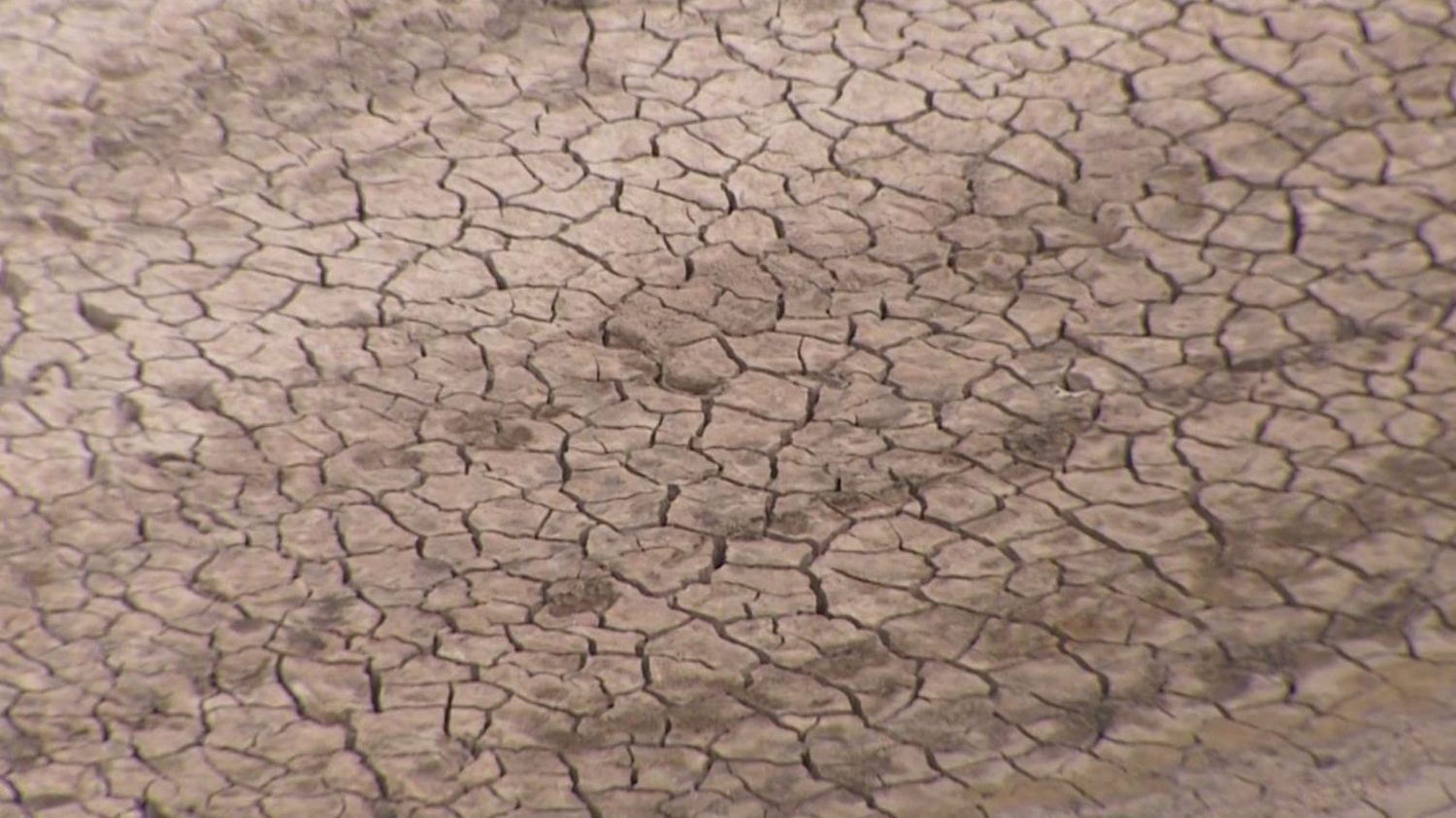 Tierra cuarteada, consecuencia de la falta de lluvias.