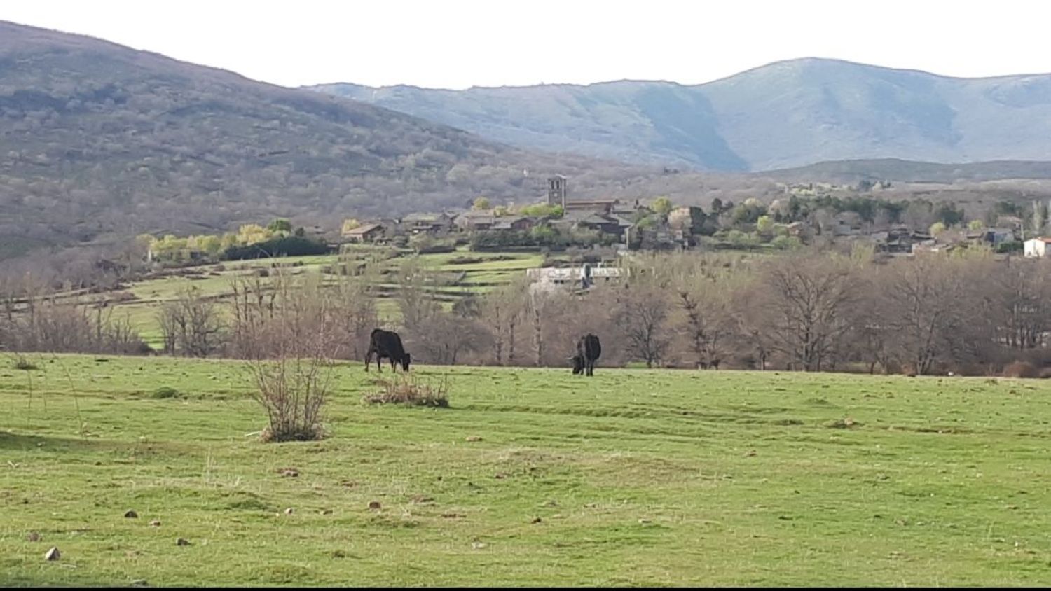 Campillo de ranas, en Guadalajara // Julito Martínez.